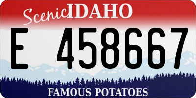 ID license plate E458667