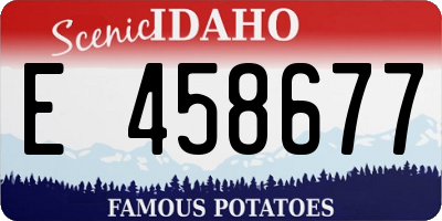 ID license plate E458677