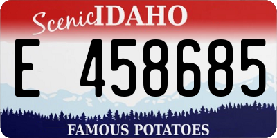 ID license plate E458685