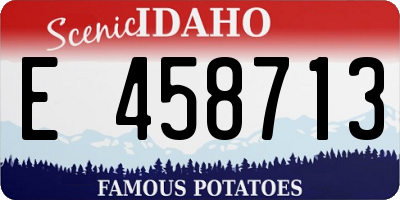 ID license plate E458713