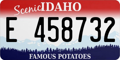 ID license plate E458732