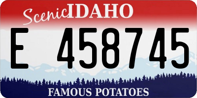 ID license plate E458745