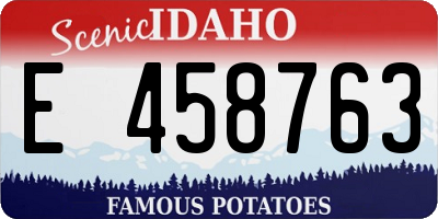 ID license plate E458763