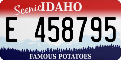 ID license plate E458795
