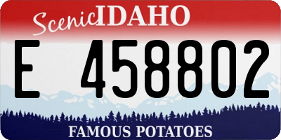 ID license plate E458802