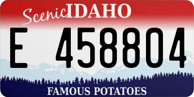ID license plate E458804
