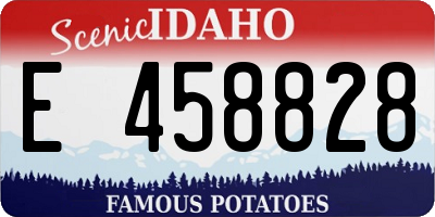 ID license plate E458828