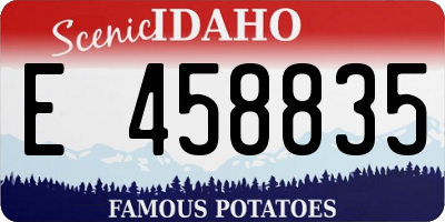ID license plate E458835