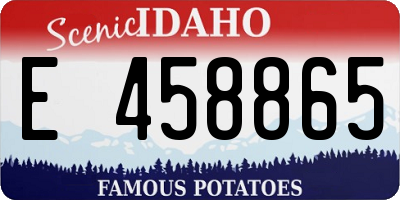 ID license plate E458865