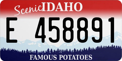 ID license plate E458891