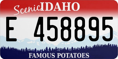 ID license plate E458895