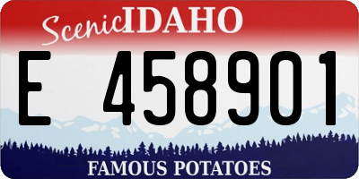 ID license plate E458901