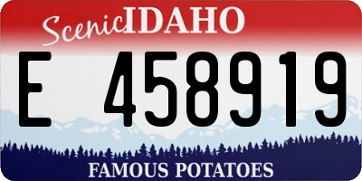 ID license plate E458919