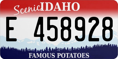 ID license plate E458928