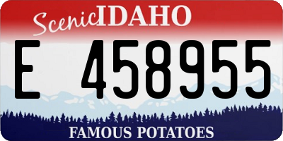 ID license plate E458955