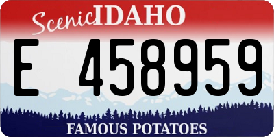 ID license plate E458959