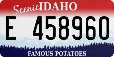 ID license plate E458960