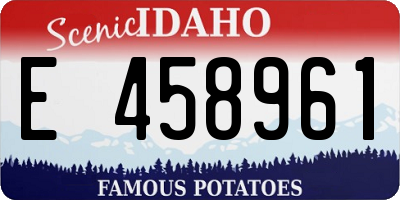ID license plate E458961