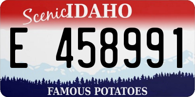 ID license plate E458991