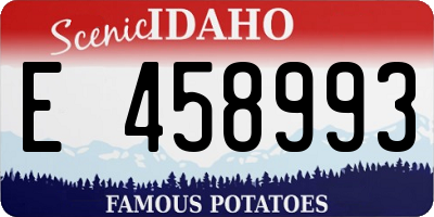 ID license plate E458993