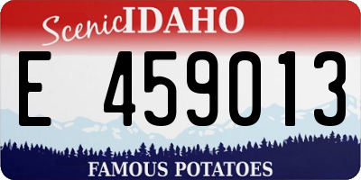 ID license plate E459013