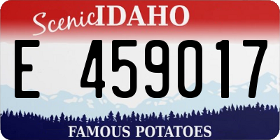 ID license plate E459017