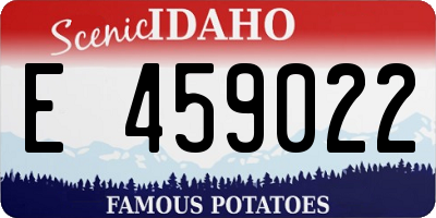 ID license plate E459022