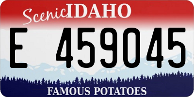 ID license plate E459045
