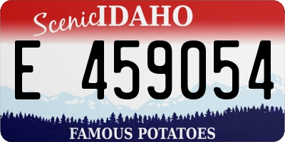 ID license plate E459054