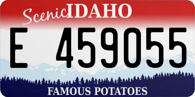 ID license plate E459055