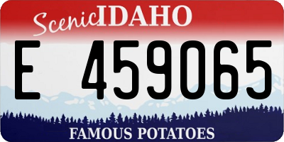 ID license plate E459065