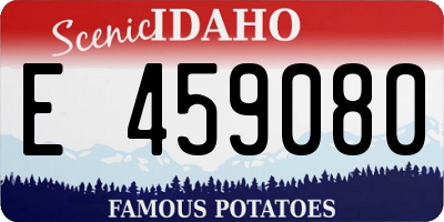 ID license plate E459080