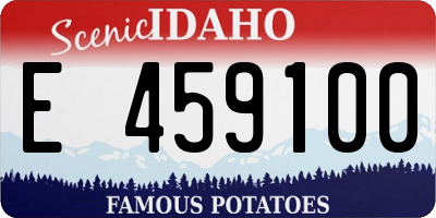ID license plate E459100