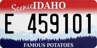ID license plate E459101