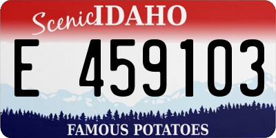 ID license plate E459103