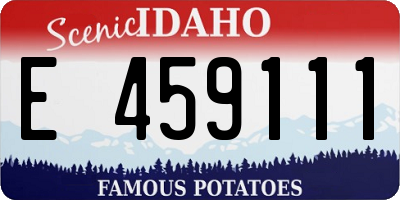 ID license plate E459111