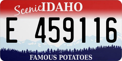 ID license plate E459116