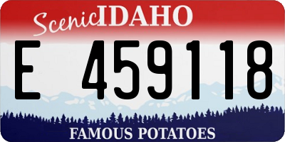 ID license plate E459118