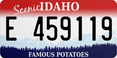 ID license plate E459119
