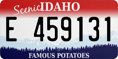 ID license plate E459131
