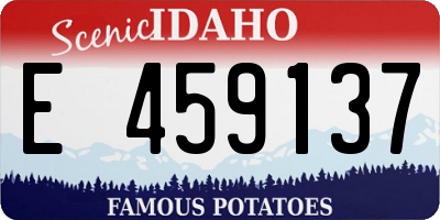ID license plate E459137