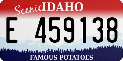 ID license plate E459138