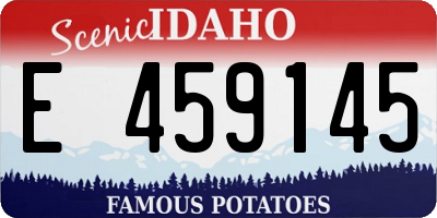 ID license plate E459145