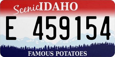 ID license plate E459154