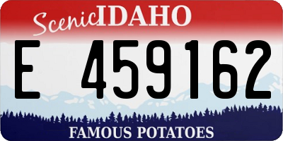 ID license plate E459162