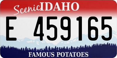 ID license plate E459165