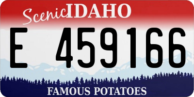 ID license plate E459166