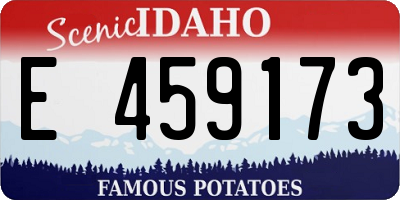 ID license plate E459173