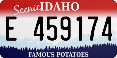ID license plate E459174