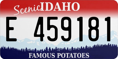 ID license plate E459181